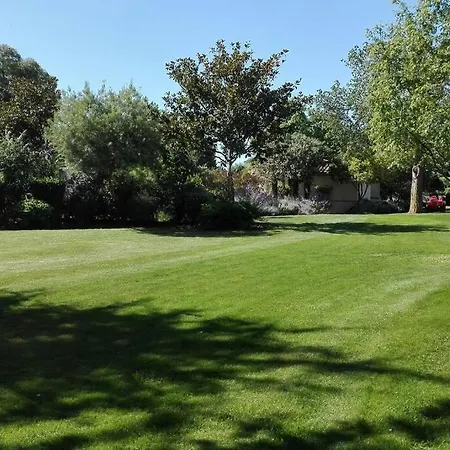 L'eucalyptus מרנס