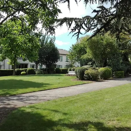 L'eucalyptus מרנס