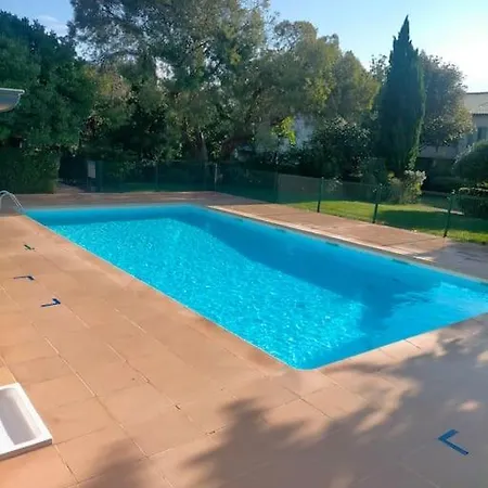 L'eucalyptus מרנס