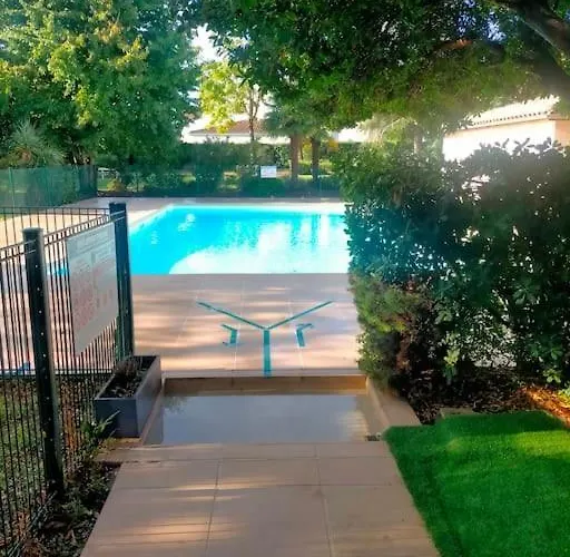 L'eucalyptus * Marans (Charente-Maritime)