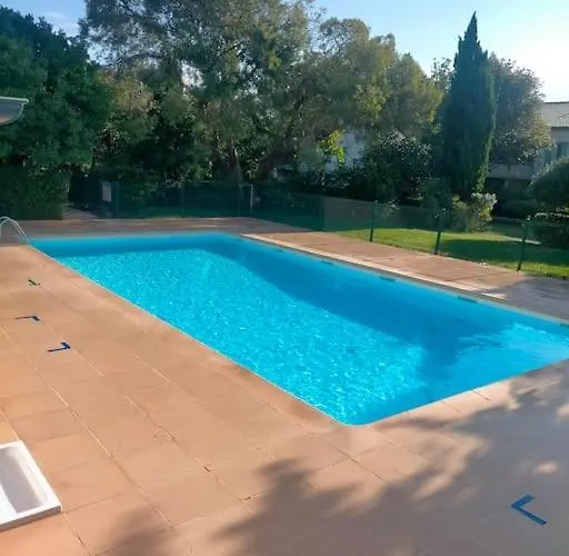 L'eucalyptus Marans (Charente-Maritime)